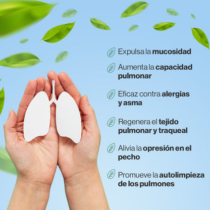 Heal Breathing™ | SPRAY DE LIMPIEZA RESPIRATORIA